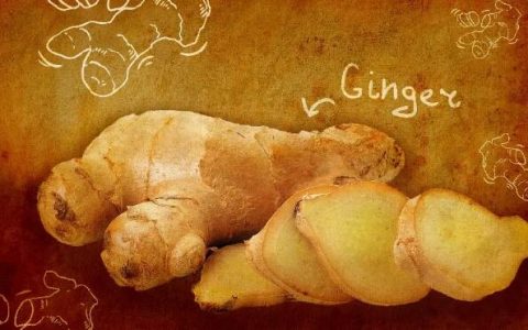 姜的10种健康益处——神奇的香料（上）