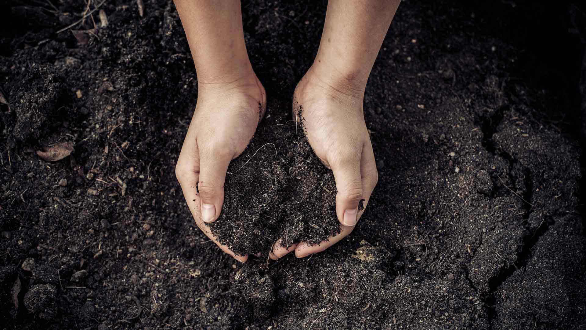 你能为地球列几条保护措施吗