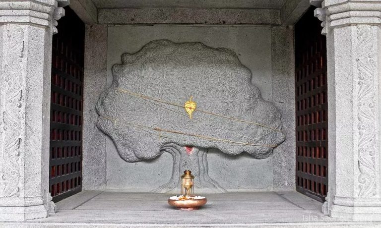 迪阿纳灵伽——瑜伽科学的精粹