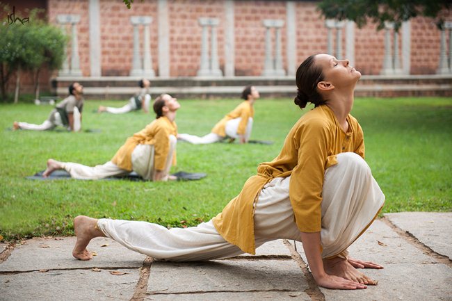 Isha分享丨我的三个月瑜伽练习收获