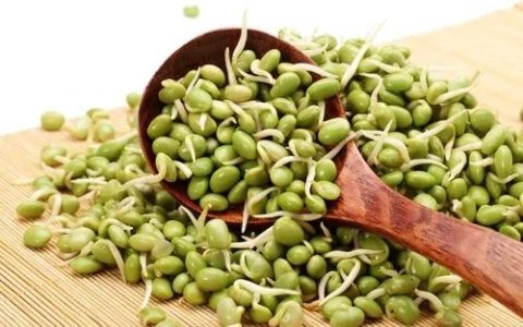 瑜伽练习者食谱丨绿豆沙拉