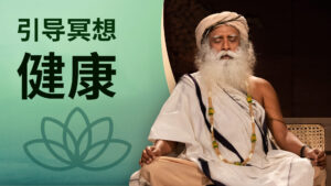 Chit Shakti 健康冥想丨使你成为自己健康的主宰者