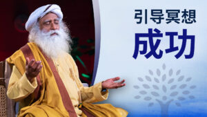 Chit Shakti 成功冥想丨获取心想事成的能力
