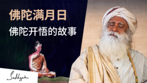 萨古鲁：关于乔达摩佛陀的故事