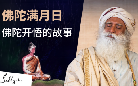 萨古鲁：关于乔达摩佛陀的故事