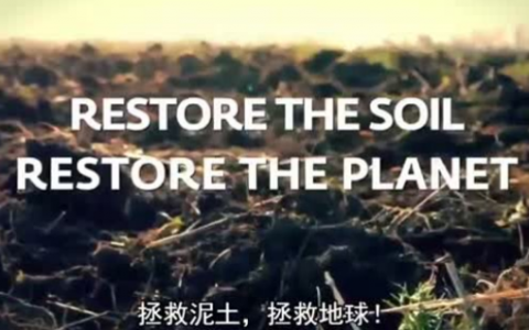 Isha视频丨拯救泥土，拯救地球