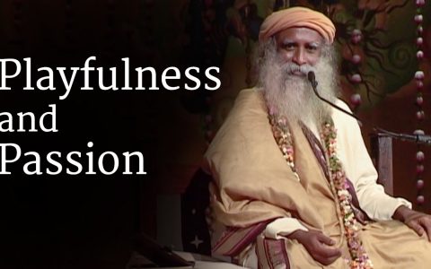 萨古鲁：玩乐和激情