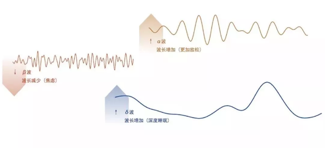 内在工程益处的医学调查