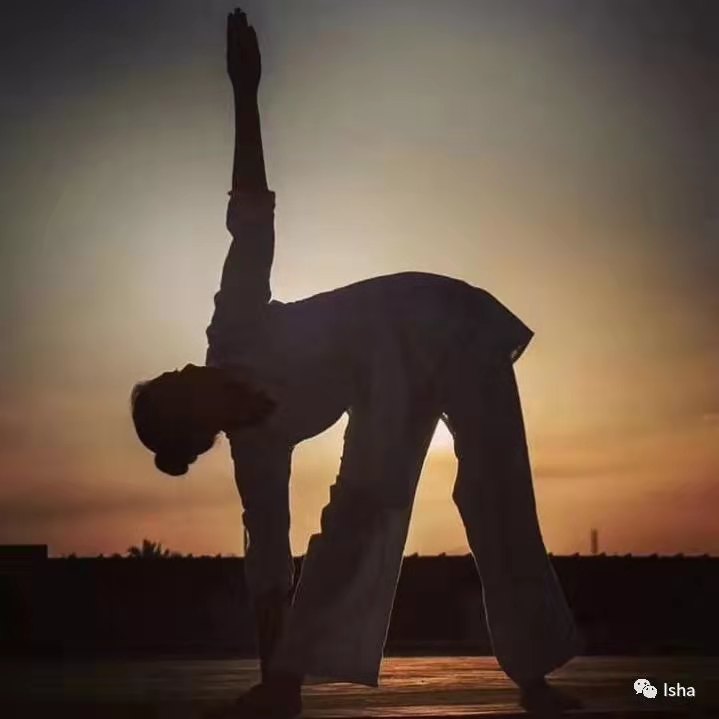 Isha哈他瑜伽教师培训随笔（一）丨2018年8月
