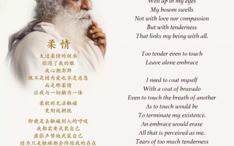 瑜伽士的诗丨《柔情》