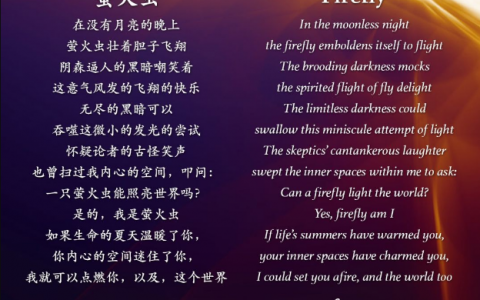 瑜伽士的诗丨《萤火虫》