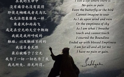 瑜伽士的诗丨《无所失 亦无所得》