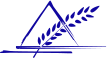 五分钟内在探索瑜伽