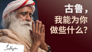 我们能为古鲁做的最好的事是什么？
