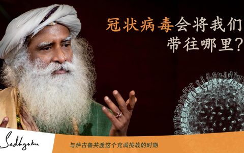 冠状病毒会将我们带往哪里？
