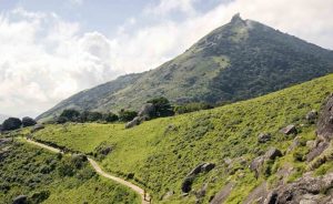 Isha之声丨Velliangiri