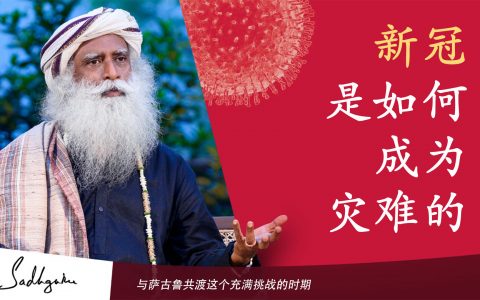 谁对这场灾难负责？