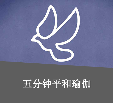 五分钟瑜伽工具