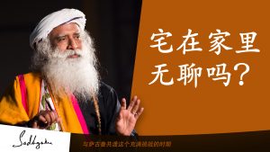 如何应对封锁期宅在家的无聊？