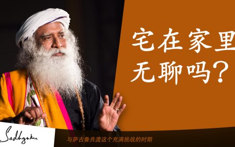 如何应对封锁期宅在家的无聊？