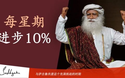 每星期进步10%