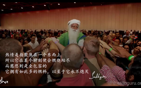 慈悲不是善良，而是全然包容的热情
