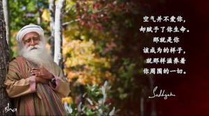 如果你真诚地滋养你所接触到的一切，生命就会变得美好