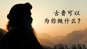 古鲁满月日——古鲁可以为你做什么？