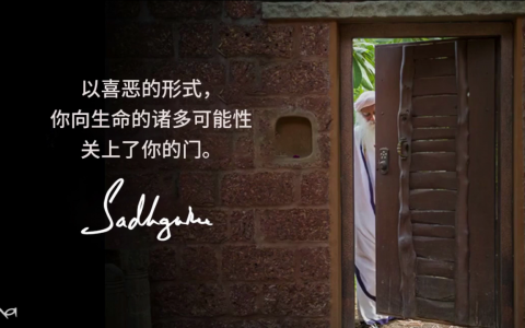 将你自己投入到生命的每个维度中去（视频）