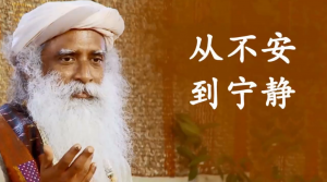 萨古鲁:一个人如何从不安到宁静?