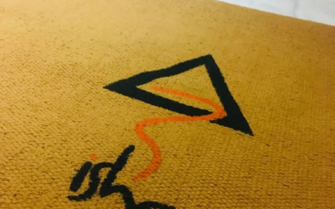 怦然心动的Isha瑜伽之旅