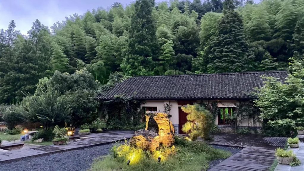 慢下来的山间竹林——Isha瑜伽9月杭州3天静修营