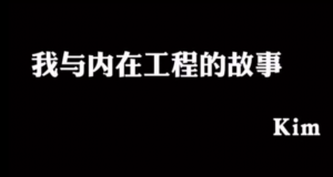 我的内在工程故事:从焦虑和恐惧中走向爱