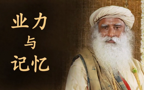 业力与记忆