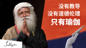 没有教导，没有道德伦理——只有瑜伽