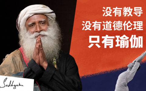 没有教导，没有道德伦理——只有瑜伽