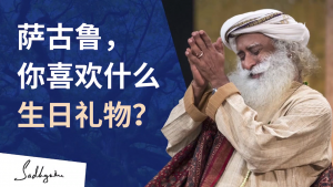 “萨古鲁，你喜欢什么生日礼物？”