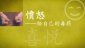 愤怒是给你自己的毒药