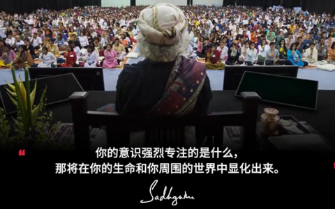 当你的意识集中时，生活就会像魔法一样运作