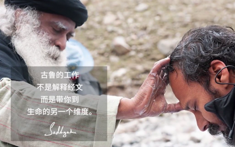 古鲁不是你的朋友、哲学家或向导