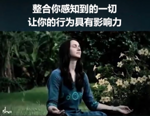 整合你感知到的一切,让你的行为具有影响力