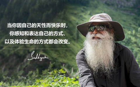 萨古鲁下厨——制作无法抵挡的美味萝卜桑巴