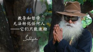 激发来自外在，转化来自内在