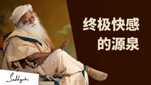 松果体: 超越你所知的所有愉悦