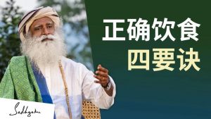 正确饮食四要诀