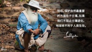 阻止土壤退化是生态再生的重点
