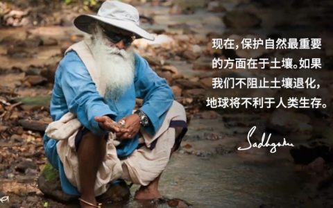 阻止土壤退化是生态再生的重点
