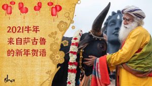 2021牛年来自萨古鲁的新年贺语
