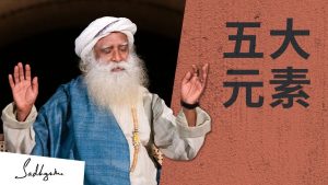 存在中的五大元素是什么