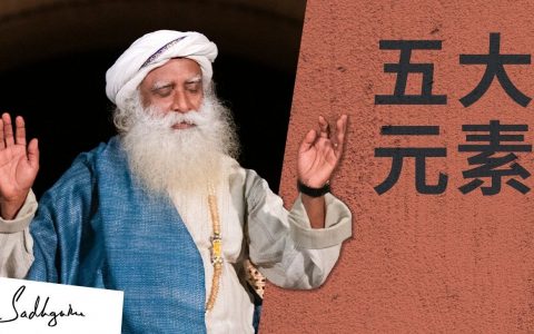 存在中的五大元素是什么